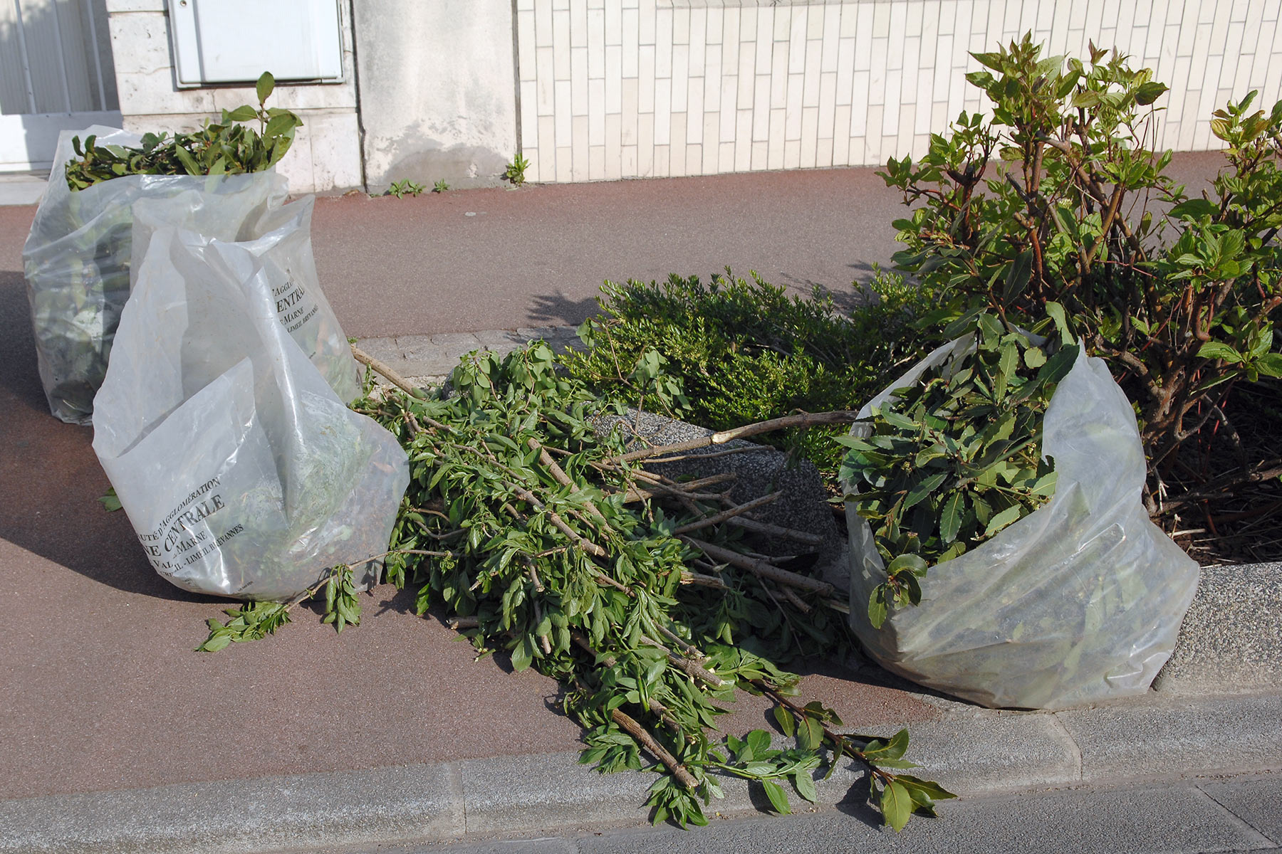La distribution des sacs de déchets végétaux - Maisons-Alfort