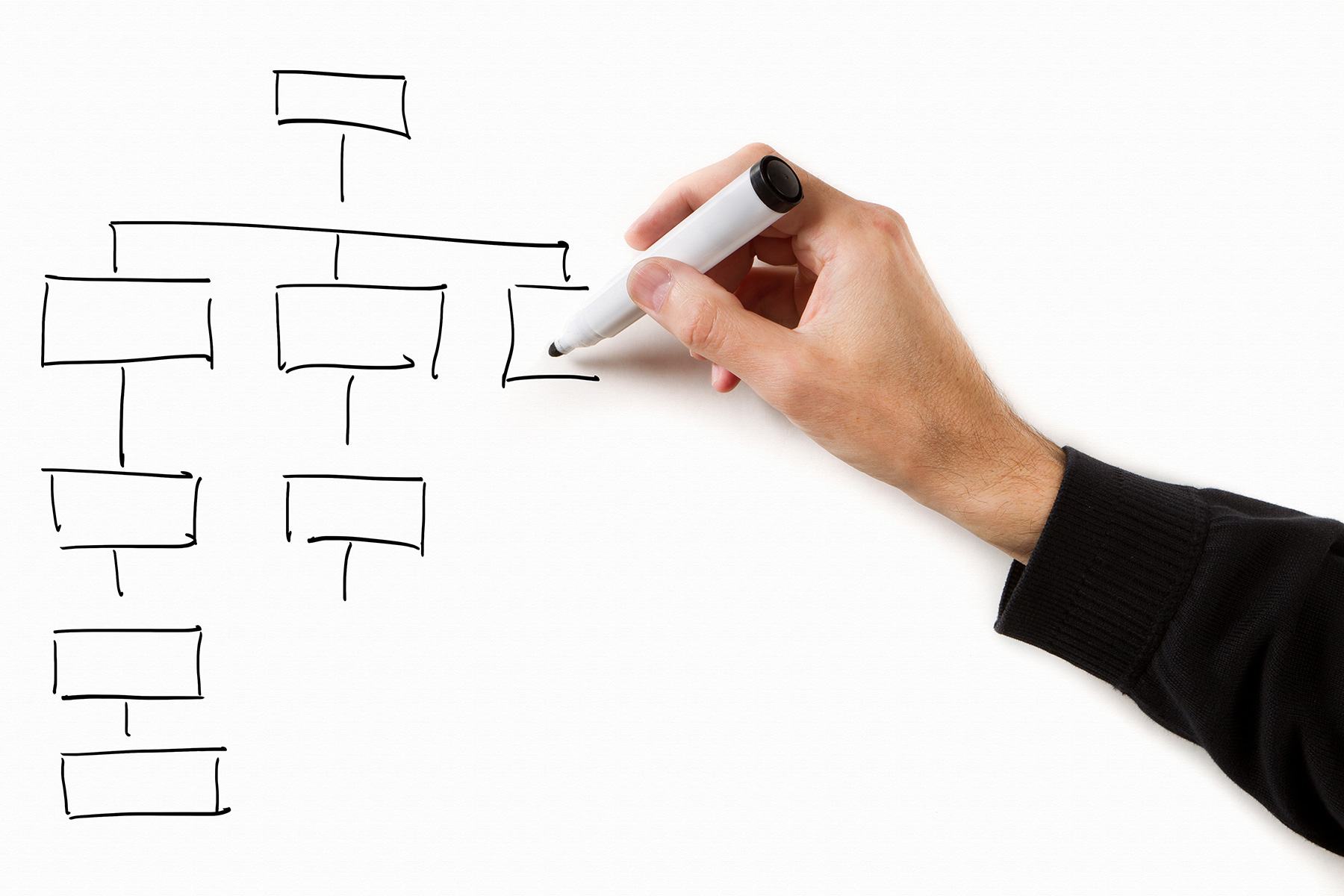 Organigramme des services